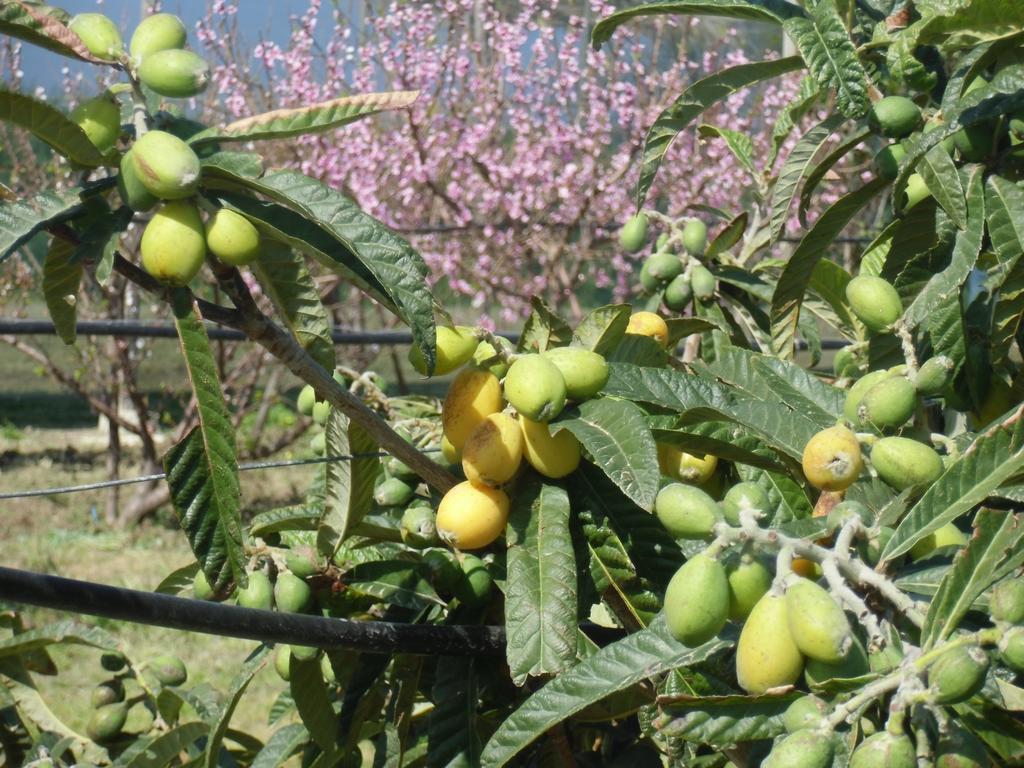 Вилла Stella Di Sicilia San Fratello Экстерьер фото